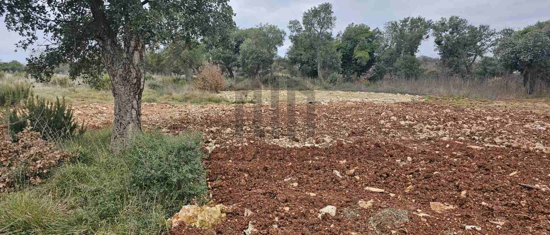 Istria, Pula, OPPORTUNITY!!! 3,500 m2 beautiful large agricultural land on the border and submitted for urbanization in Šijana