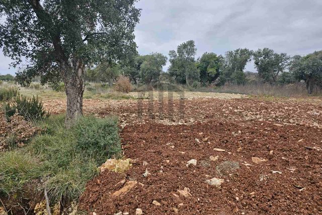 Istria, Pula, OPPORTUNITY!!! 3,500 m2 beautiful large agricultural land on the border and submitted for urbanization in Šijana