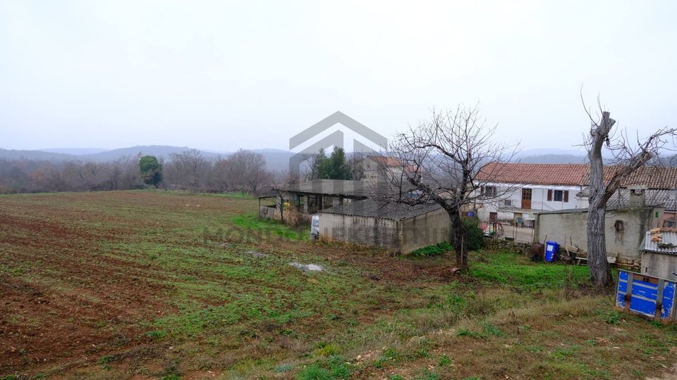 Istria, Bale, Property of 29,000m2