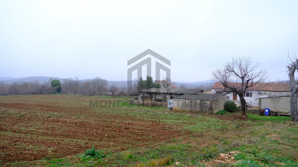 Istra, Bale, Posest 29.000m2
