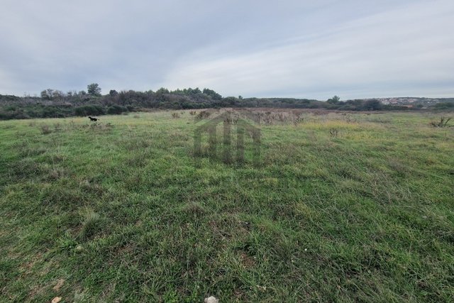 Zemljišče, 1100 m2, Prodaja, Vodnjan