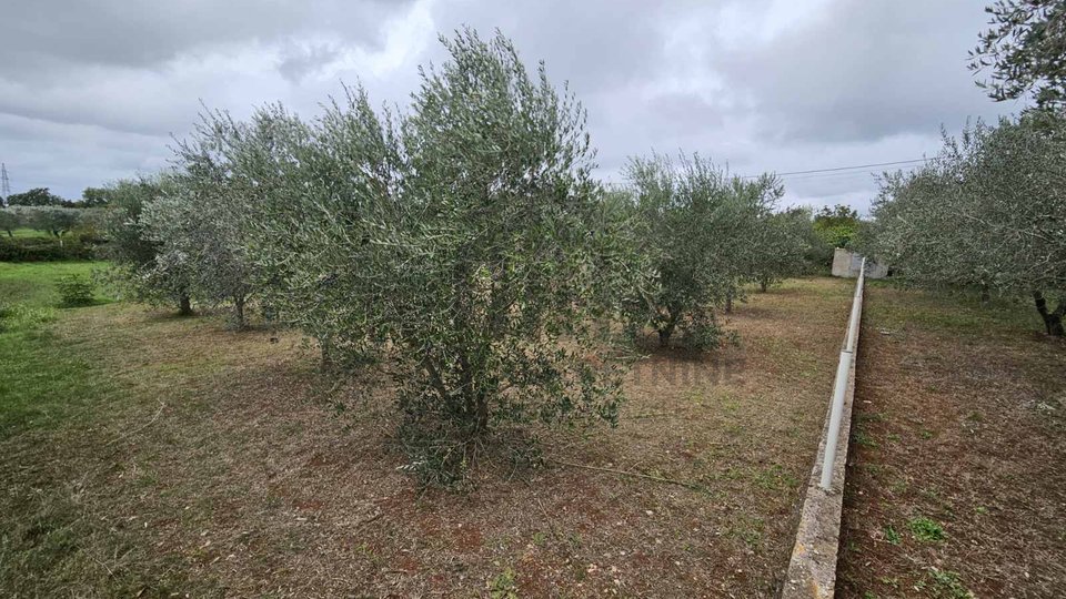 Istria, Pula, Nice land Galižana 550 m2 on the very line of urbanization by the road