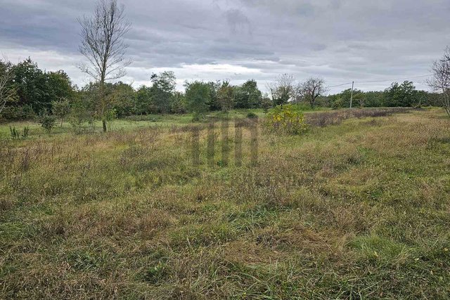 Istria Žminj building land 2200 m2 with three-phase electricity and water on the plot