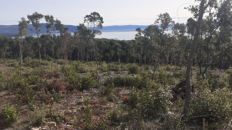ISTRA, KAVRAN, više zemljišta u Kavranskoj šumi po cca 350m2. Cijena 30€/m2